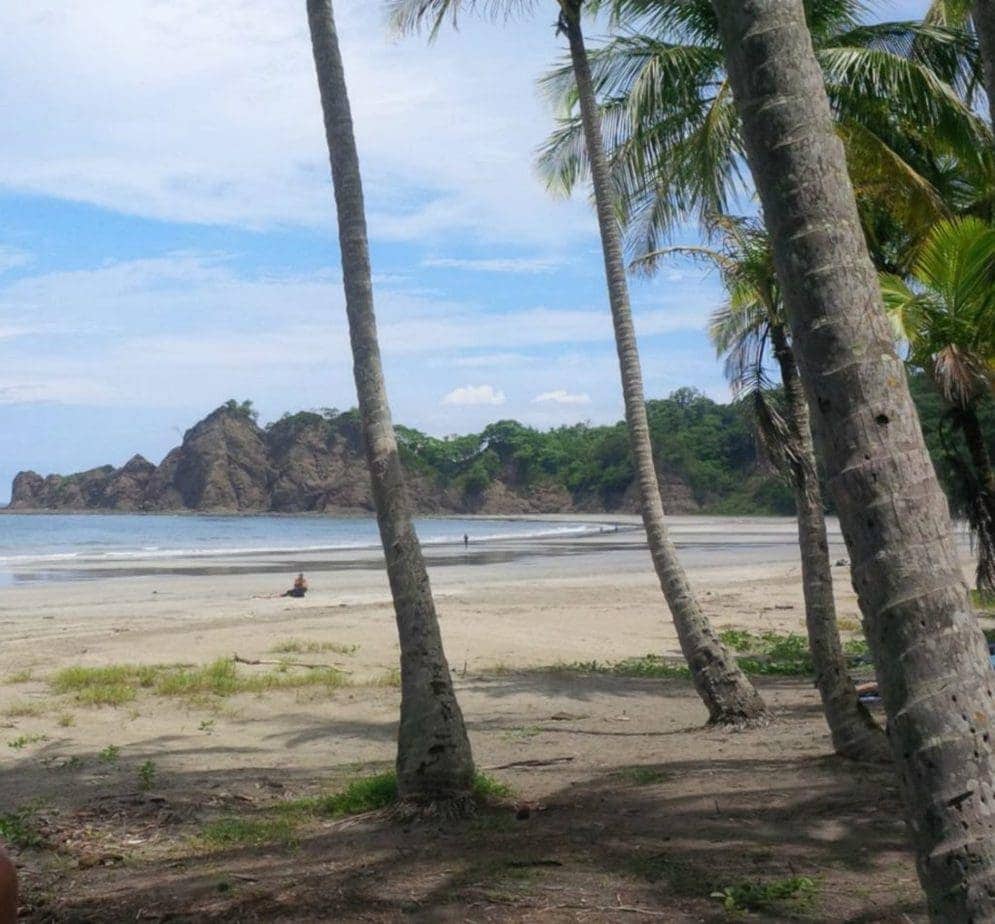 We just LOVE the palm trees along the shore of Carrillo Beach. This photo is courtesy of my friend Bob!