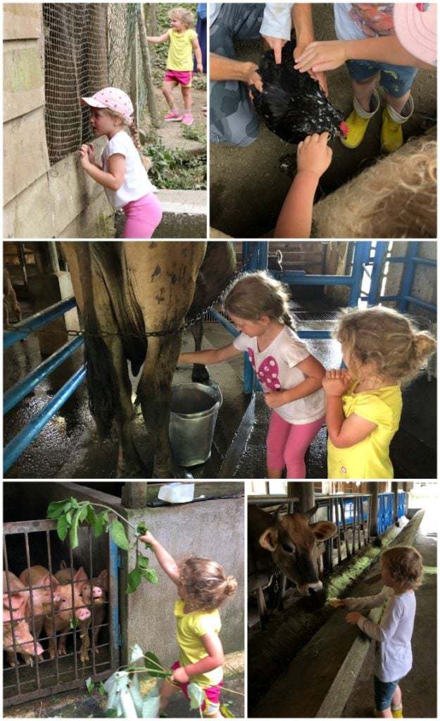 Farm Tour Rancho Margot Costa Rica.