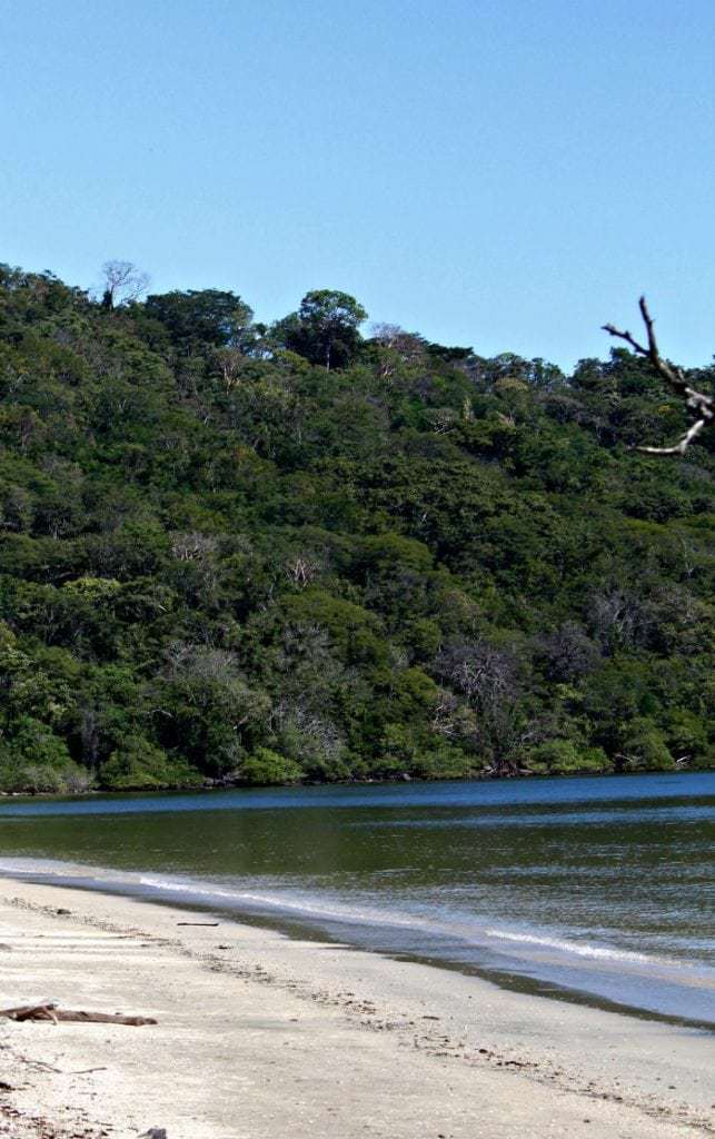 Our top 20 beaches to visit on the Costa Rica Pacific include everything from Costa Rica's cleanest beach, to the biggest party beach, and a beach whose coast is made entirely of small shells. There's a beach for every personality on this list! #costarica #beachlife #familytravel #traveltips #costaricatravel #tmom #beachvacation #vacation