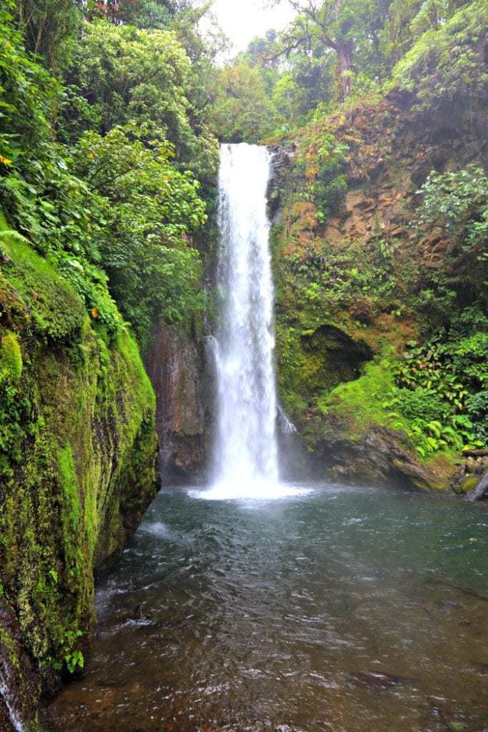 Small waterfall and pool amidst lush foliage, La Paz Waterfall Gardens.