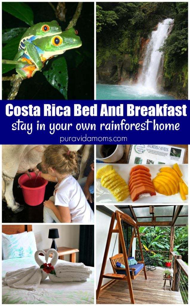 Rainforest House Pamphlet