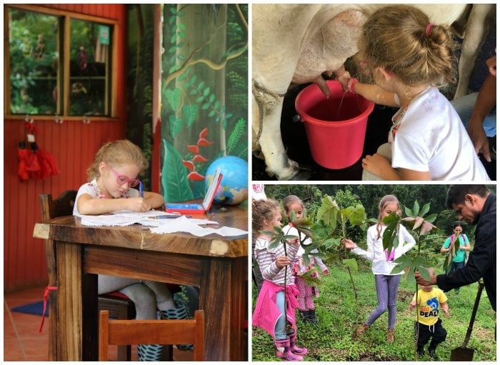 Kids draw, hike and milk cows.