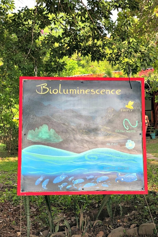 Bioluminescence painted sign in Costa Rica