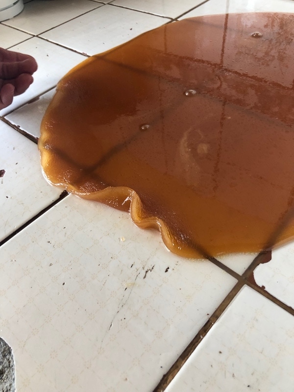 Costa Rican candy cooling on ceramic counter.
