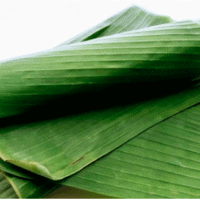 Plantain Leaves