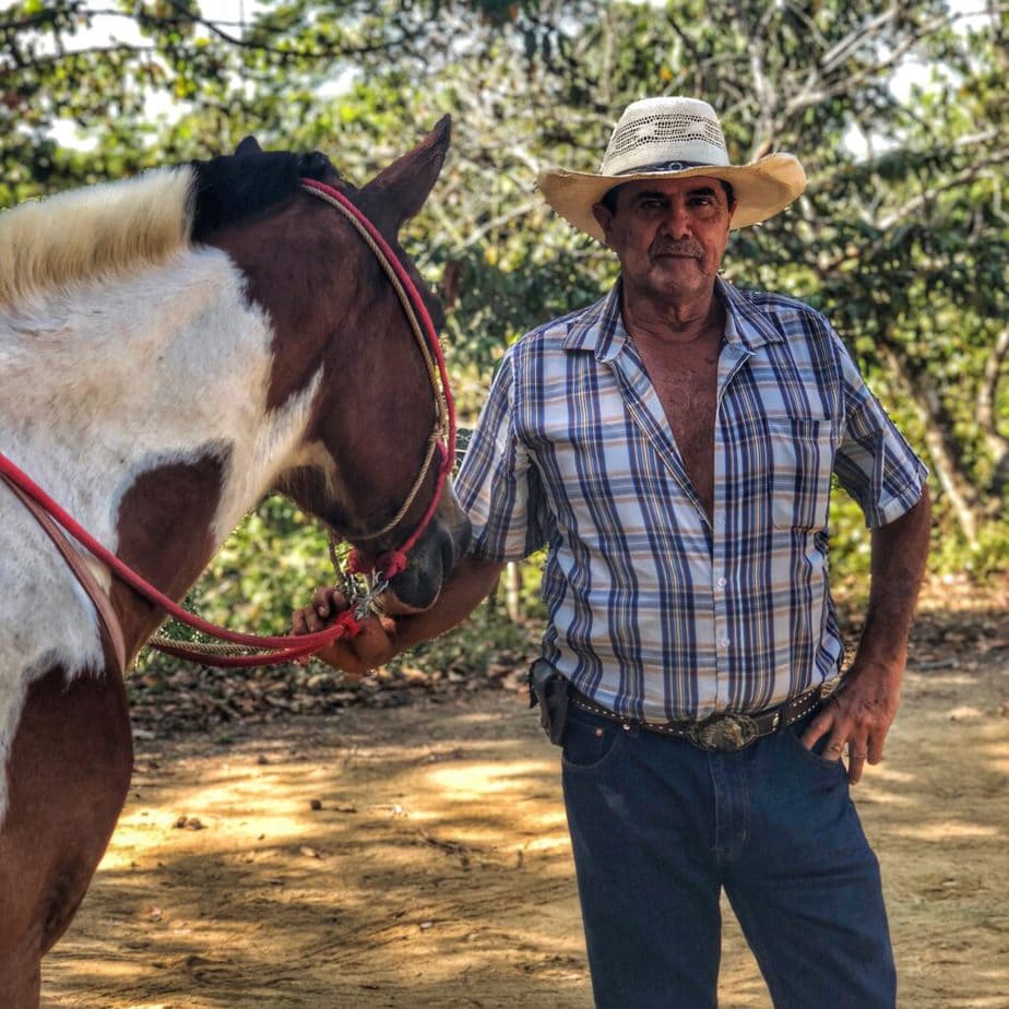 Costa Rican man and horse