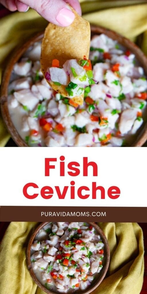 Costa Rican Fish Ceviche pin