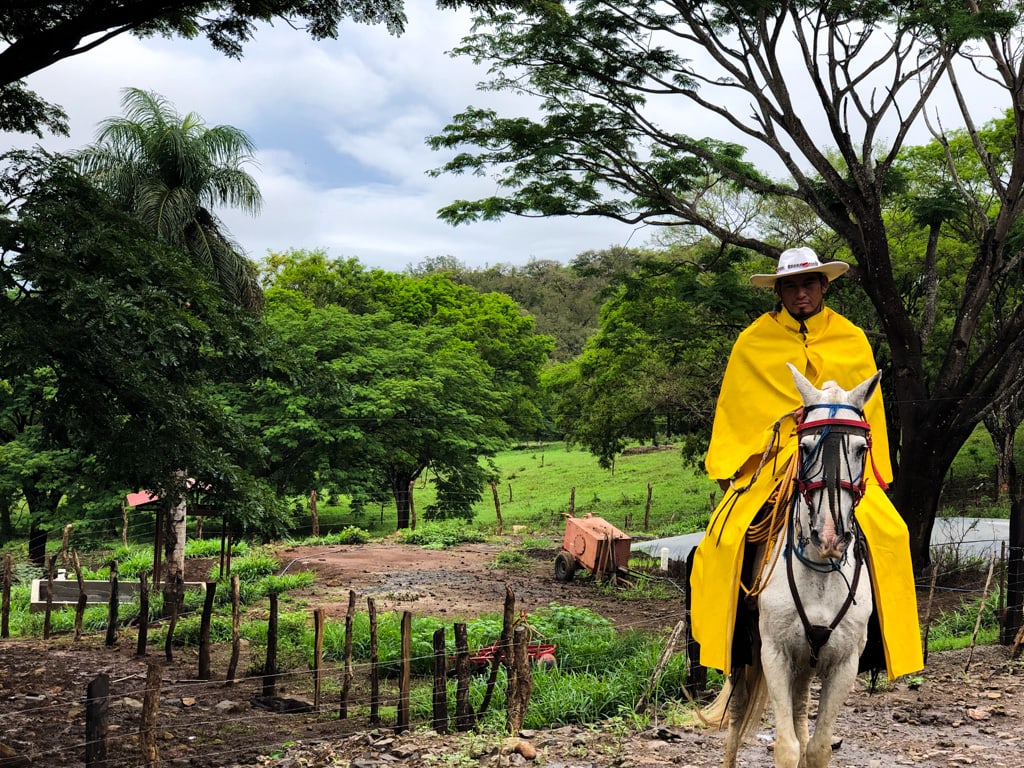man on a horse