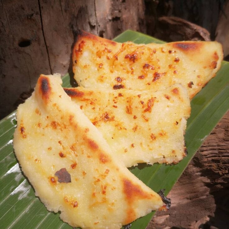 Costa Rican Bizcocho Guanacasteco