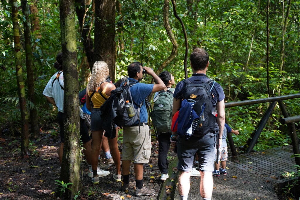 Paddle 9 Tours Guide