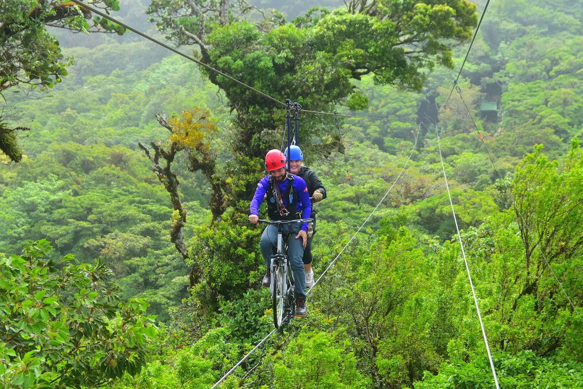 Treetopia