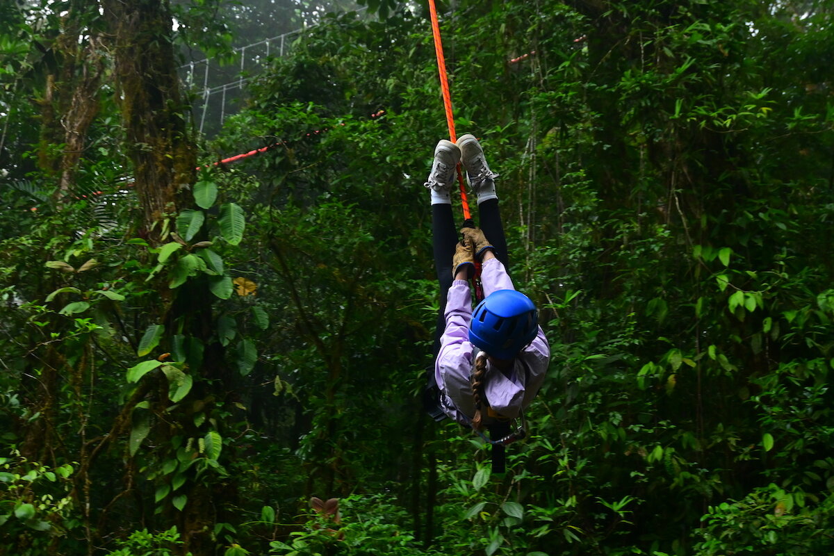 Treetopia Zipline