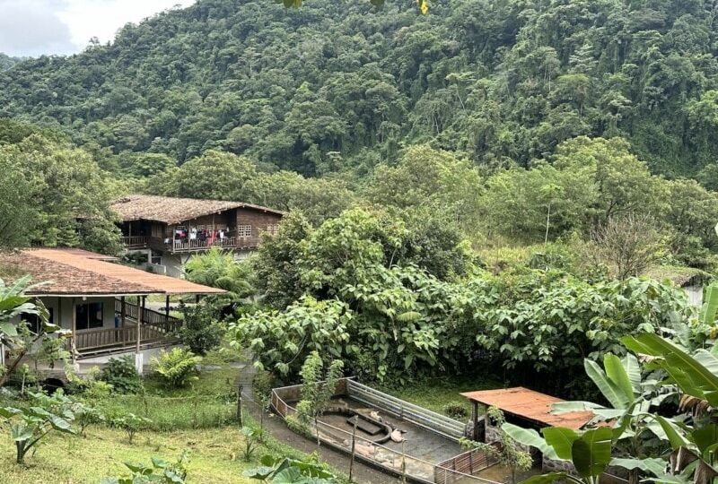 Rancho-Margot-Sustainable-Farm-La-Fortuna-800x600