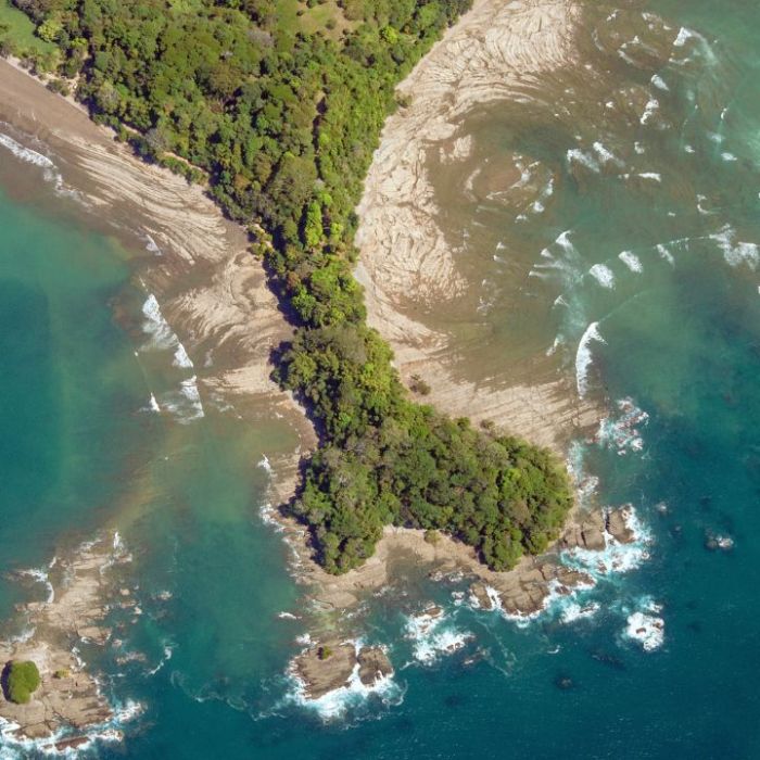 Manuel Antonio Park Family Tours